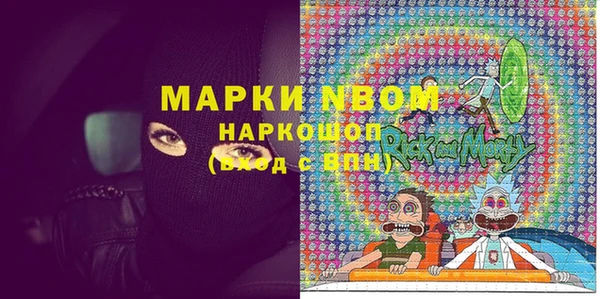 хмурый Белокуриха