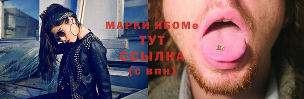 хмурый Белокуриха