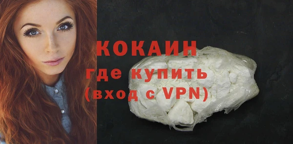 хмурый Белокуриха
