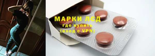 хмурый Белокуриха