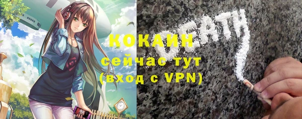 хмурый Белокуриха
