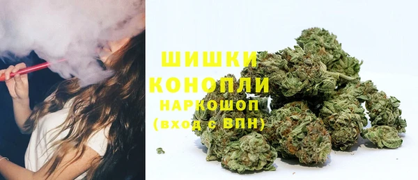 хмурый Белокуриха