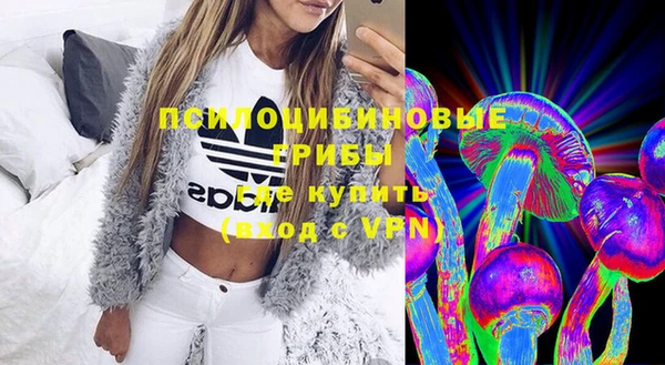 хмурый Белокуриха