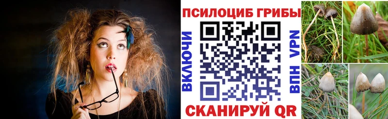 Галлюциногенные грибы ЛСД  где продают наркотики  blacksprut ссылки  Щёлкино 